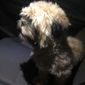 Meet your Posher, Alejandra